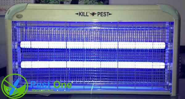 đèn diệt côn trùng Kill Pest