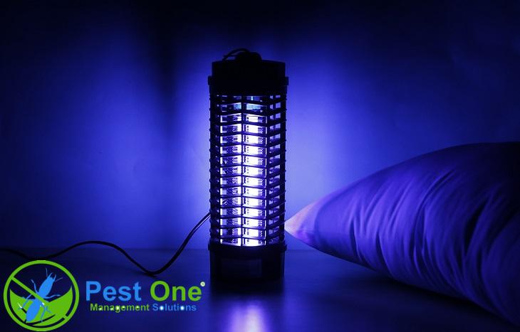 Đèn diệt côn trùng loại nào tốt