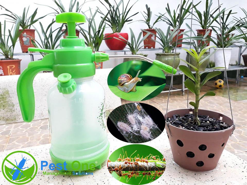 thuốc diệt côn trùng cho cây
