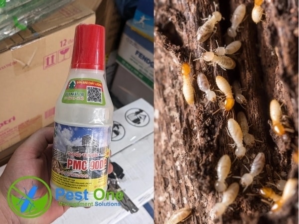 Thuốc diệt mối PMC 90