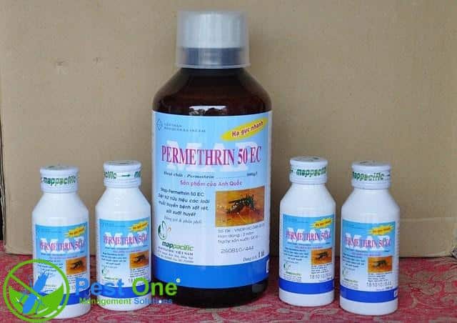 thuốc diệt muỗi mua ở đâu