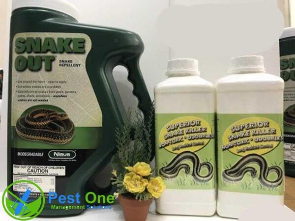 Nên mua thuốc đuổi rắn ở đâu?