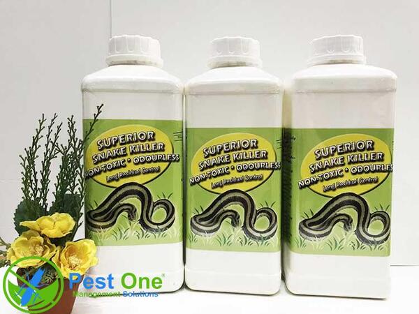 Thuốc đuổi rắn giúp bảo vệ khu vực sinh sống