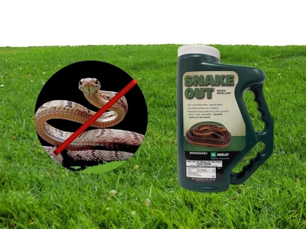 Lưu ý khu vực sử dụng thuốc diệt rắn
