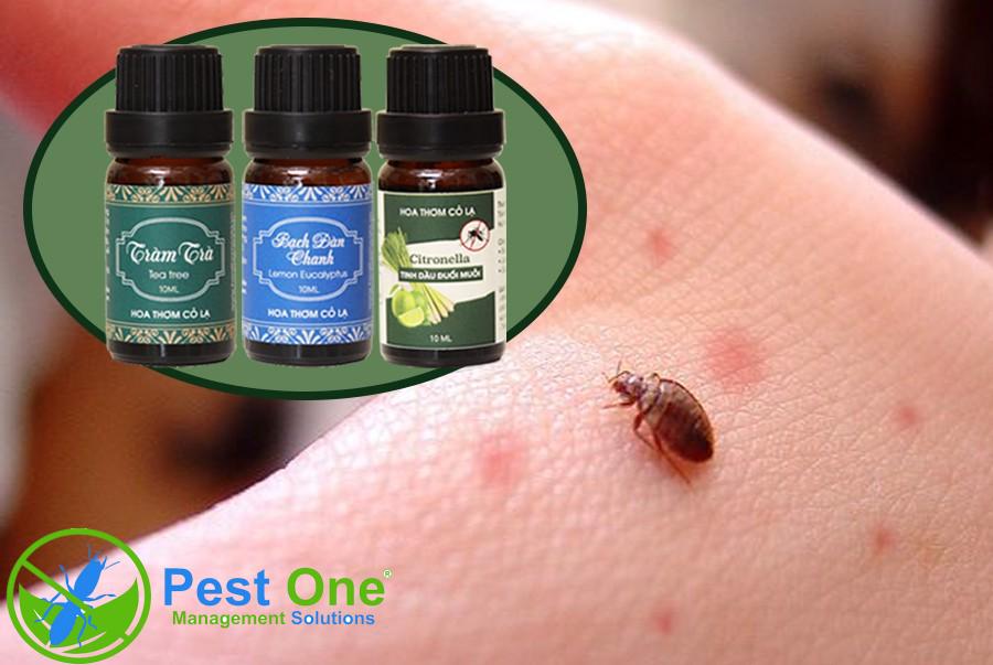 thuốc trị rệp giường