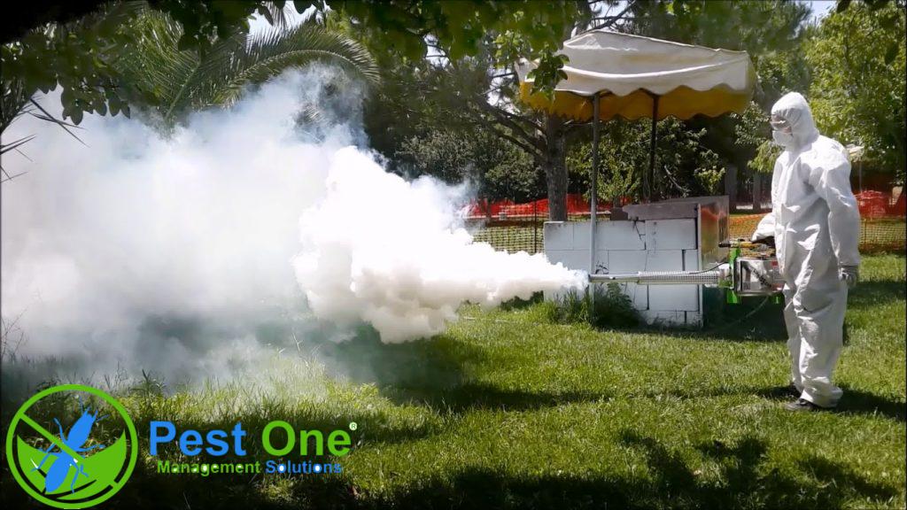 tự phun thuốc diệt muỗi tại nhà