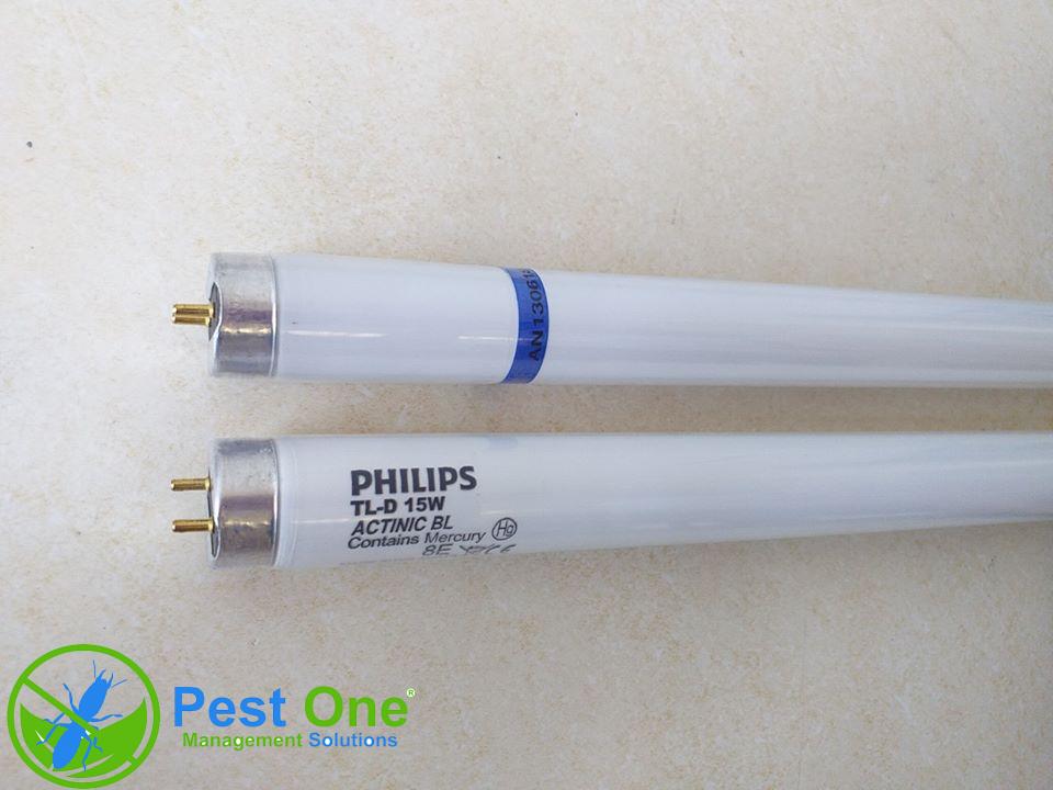 Bóng đèn bẫy côn trùng