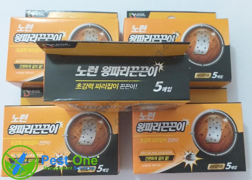 Keo bẫy thằn lằn