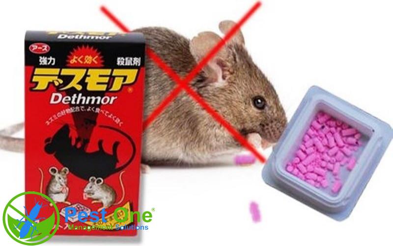 Thuốc diệt chuột nào hiệu quả nhất
