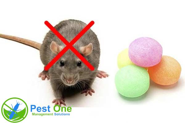 Thuốc diệt chuột sinh học