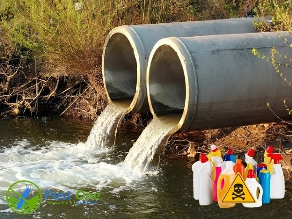 Thuốc diệt kiến có thể gây ô nhiễm nguồn nước nếu sử dụng không đúng cách