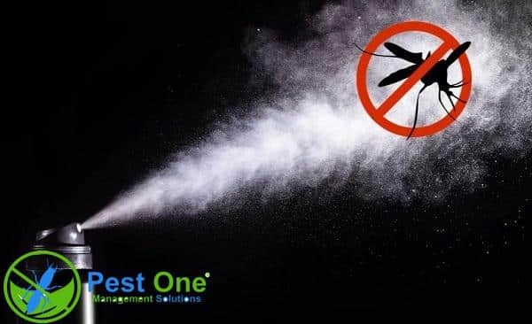Dùng thuốc trị côn trùng gây hại