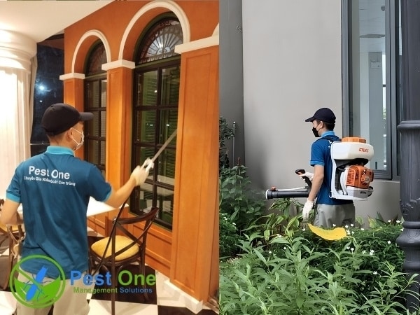 Pest One là đơn vị chuyên về kiểm soát côn trùng và vệ sinh tối ưu