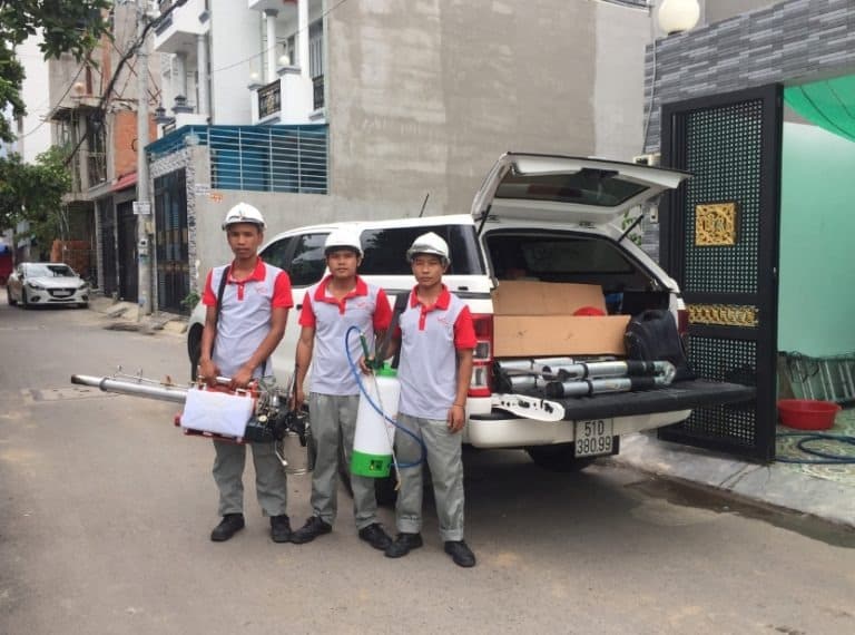 Công ty xử lý côn trùng VinPest