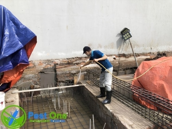Xử lý phòng chống mối lần 1 sau khi đan sắt móng xong