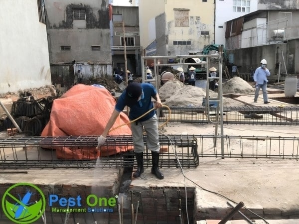 Phòng chống mối từ đầu giúp bảo vệ công trình