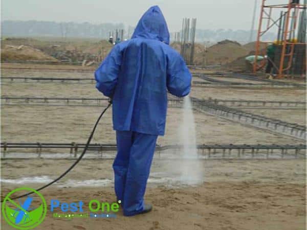 Phương pháp diệt các tổ mối trong nền đất và công trình cũ