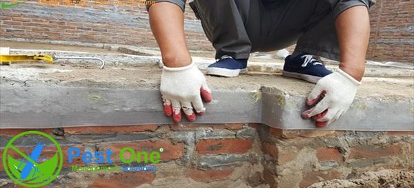 Phòng chống mối công trình bằng hệ thống lưới thép không gỉ khá hiệu quả