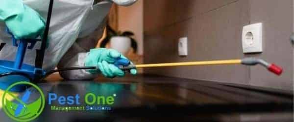 Dịch vụ diệt côn trùng uy tín - Pest One Việt Nam tại TPHCM