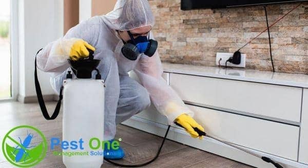 Hướng dẫn sử dụng thuốc diệt côn trùng an toàn, đúng cách
