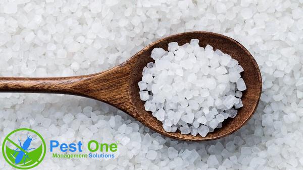 Phèn chua có thể gây khó chịu cho gián