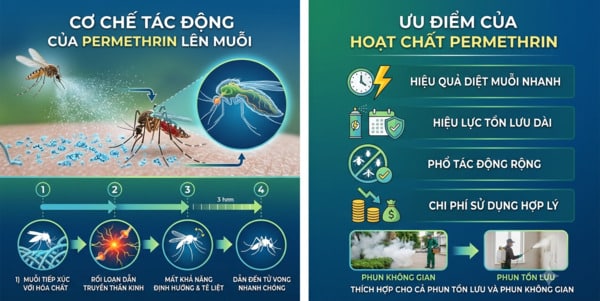 Hoạt Chất Permethrin 50% Và Cơ Chế Diệt Muỗi