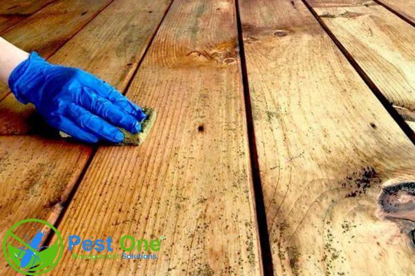 Hạn chế ẩm ướt giúp ngăn chặn mọt sinh sôi và bảo vệ đồ gỗ