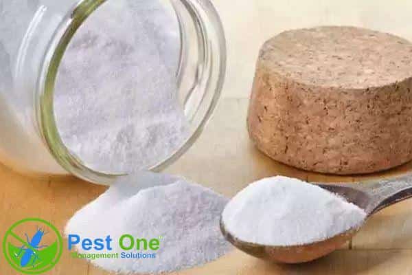 Sử dụng hàn the là cách đuổi mọt gỗ thường được sử dụng
