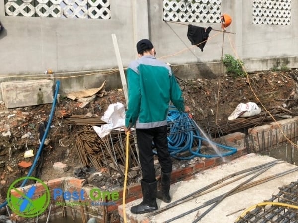 Phun thuốc diệt mối phòng ngừa