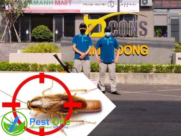 Công ty diệt gián PESTONE cung cấp dịch vụ tin cậy