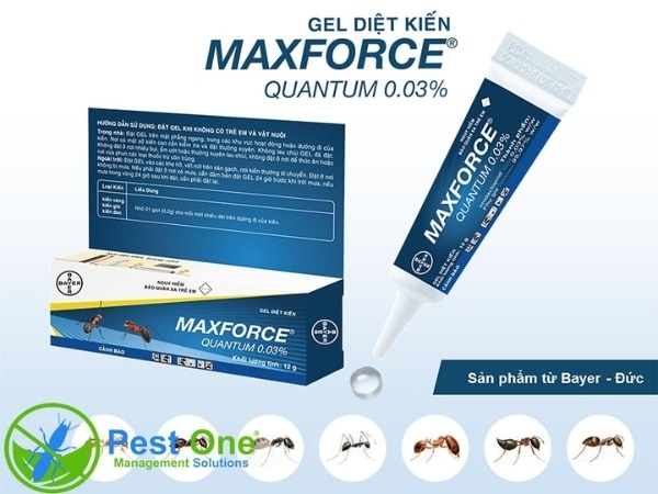Thuốc diệt kiến Maxforce Quantum
