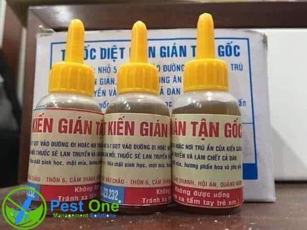 Những lưu ý quan trọng khi sử dụng thuốc diệt kiến