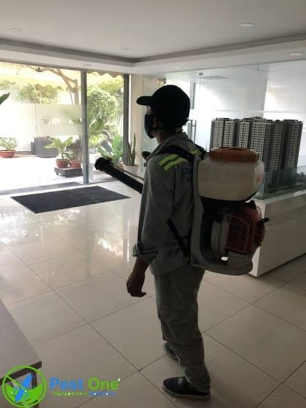 Diệt Muỗi Thực Tế Pest One Đã Thực Hiện tại Văn Phòng Bất Động Sản