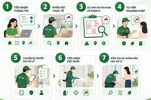 Quy Trình Diệt Muỗi Tại Pest One