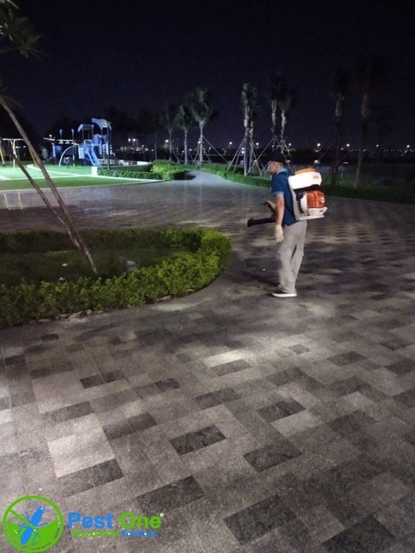 Diệt Muỗi Thực Tế Pest One Đã Thực Hiện tại TPHCM
