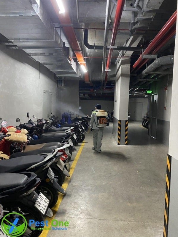 Diệt Muỗi Thực Tế Pest One Đã Thực Hiện tại nhà xe chung cư