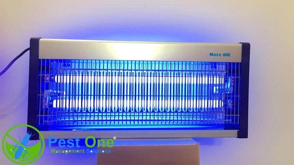 Đèn Bắt Côn Trùng Maxx 80E