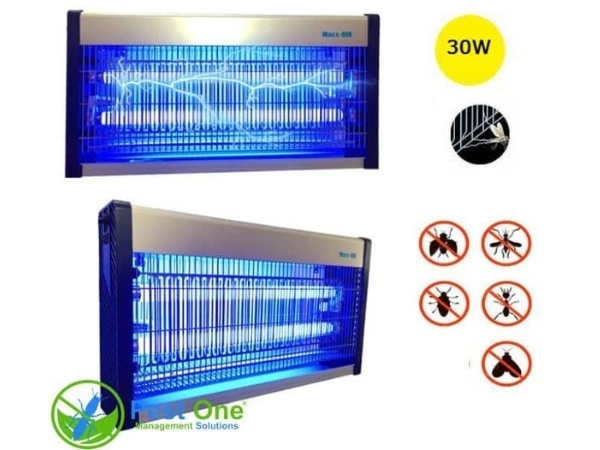 Đèn sử dụng ánh sáng để thu hút côn trùng, sau đó tiêu diệt chúng