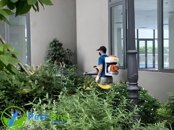 Pest One Việt Nam mang đến dịch vụ diệt muỗi tại TPHCM an toàn, hiệu quả