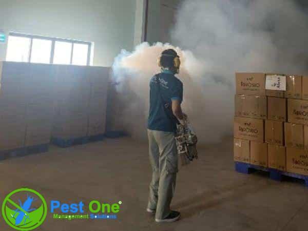 Dịch vụ phun thuốc diệt muỗi tại Pest One