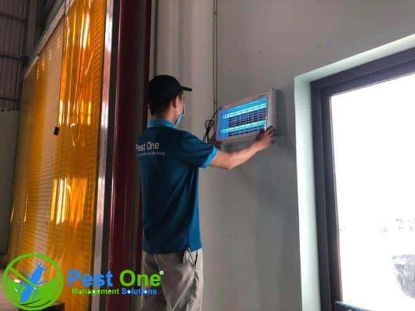 Nhân viên của Pest One Việt Nam lắp đèn diệt muỗi