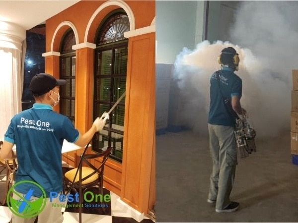 Pest One diệt muỗi tận gốc, an toàn và hiệu quả