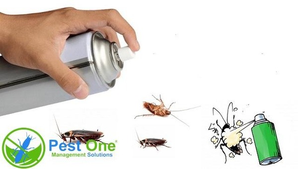 Thuốc xịt côn trùng