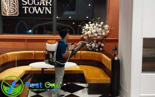 Cần phun xịt côn trùng định kỳ để bảo vệ sức khỏe thành viên trong gia đình