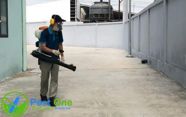 Phun thuốc không đúng thời điểm