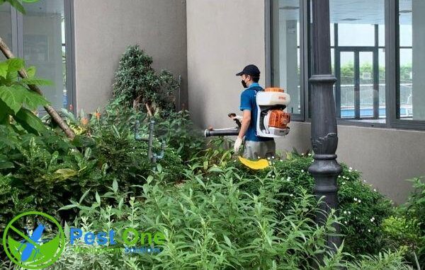 Phun không đúng liều lượng