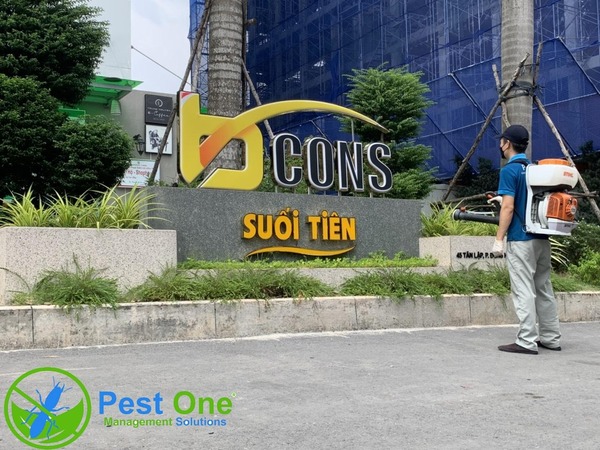 Dịch vụ kiểm soát côn trùng cho suối tiên