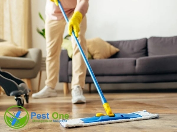 Biện pháp vệ sinh và phòng ngừa côn trùng
