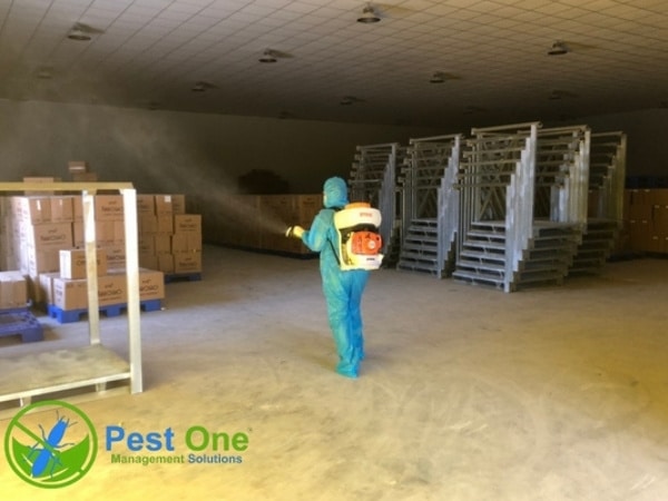 Pest One cung cấp dịch vụ kiểm soát côn trùng chuyên nghiệp