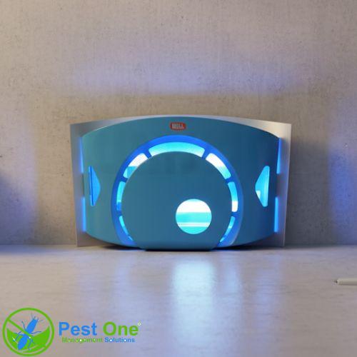 Den-diet-con-trung-WE-SB20-1